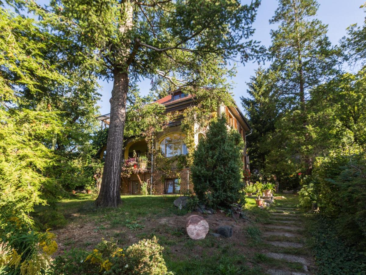 Ferienwohnung Dresden-Pillnitz - Elbhang-Villa - "Am Zuckerhut" ภายนอก รูปภาพ